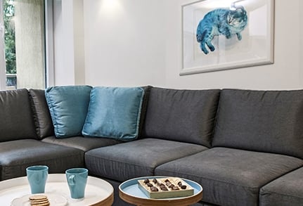 Apartment "Alice and blue cat"